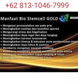 sedang mencari Apa manfaat bio stemcell gold, manfaat bio stemcell gold, manfaat bio stemcell gold diminum siang hari, Bio stemcell gold kegunaan, Bio stemcell gold khasiat.
