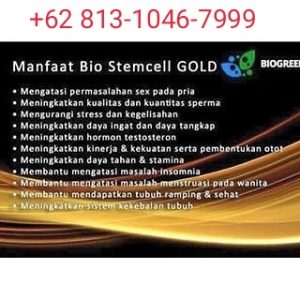 sedang mencari Apa manfaat bio stemcell gold, manfaat bio stemcell gold, manfaat bio stemcell gold diminum siang hari, Bio stemcell gold kegunaan, Bio stemcell gold khasiat.