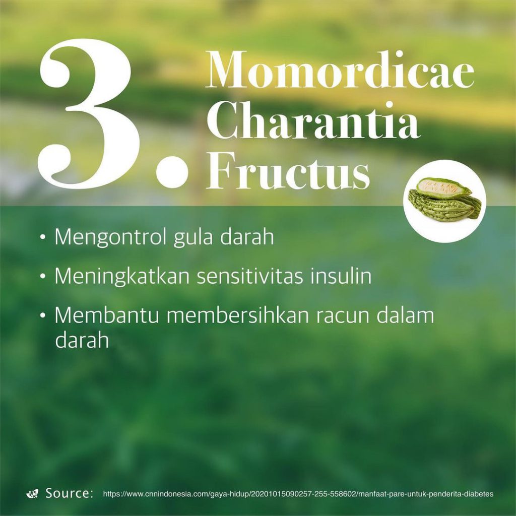 Obat herbal diabetes, bio Diabeguard biogreen