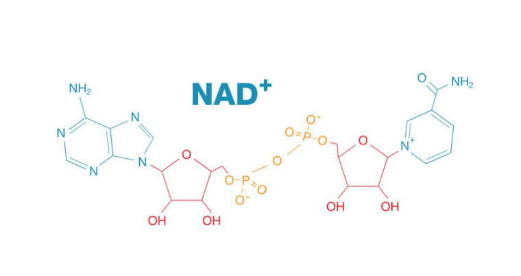 Apa itu nad+, apa itu bio nad+ boost, manfaat bio nad+ boost