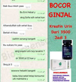 Gagal Ginjal Sembuh pakai Apple sc plus dan bio nad boost biogreen