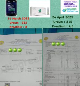 Testimoni Pengguna Apple SC Plus & Bio NAD Boost: Harapan Baru untuk Gagal Ginjal Kronis dan Penyakit Ginjal Akut