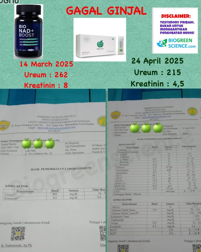 Testimoni Pengguna Apple SC Plus & Bio NAD Boost: Harapan Baru untuk Gagal Ginjal Kronis dan Penyakit Ginjal Akut