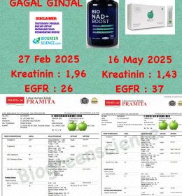 Testimoni Gagal Ginjal Kronis: Harapan Baru Tanpa Cuci Darah dengan Biogreen Science – Apple SC Plus & Bio NAD Boost