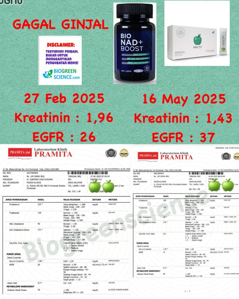 Testimoni Gagal Ginjal Kronis: Harapan Baru Tanpa Cuci Darah dengan Biogreen Science – Apple SC Plus & Bio NAD Boost