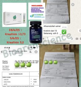 Testimoni Gagal Ginjal Kronis: Kreatinin Turun dari 13,73 Menjadi 5,2!